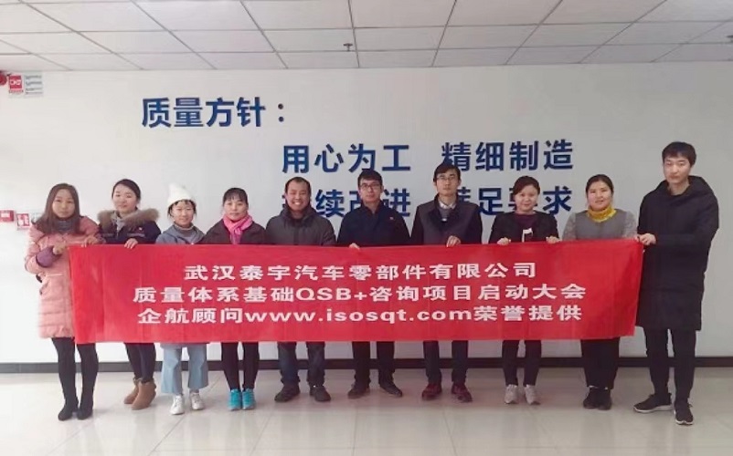 【3876】（江蘇環(huán)宇）武漢泰宇汽車(chē)零部件有限公司PSA QSB+咨詢(xún)項(xiàng)目（李燕）.jpg